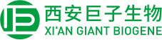 图片名称